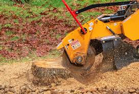 Best Lawn Pest Prevention  in Indiana, PA
