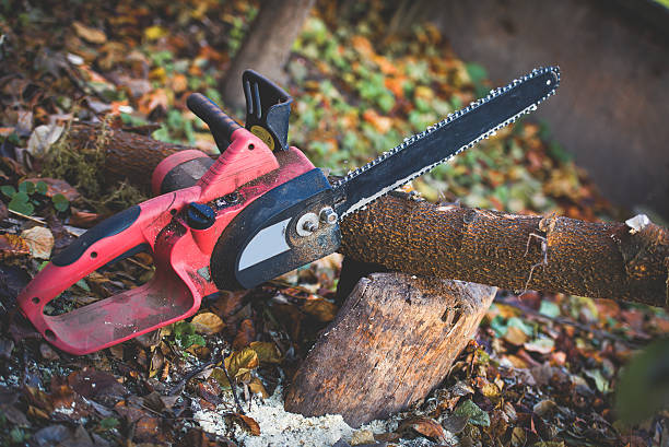 Best Storm Damage Tree Cleanup  in Indiana, PA